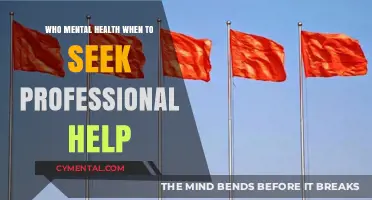 Recognizing Mental Health Red Flags: When to Seek Professional Support