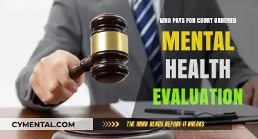 Unraveling the Costs: Who Bears the Burden of Court-Ordered Mental Health Evaluations?