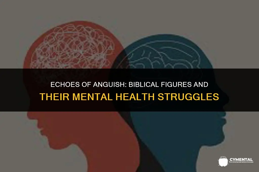 who struggled with mental health in the bible