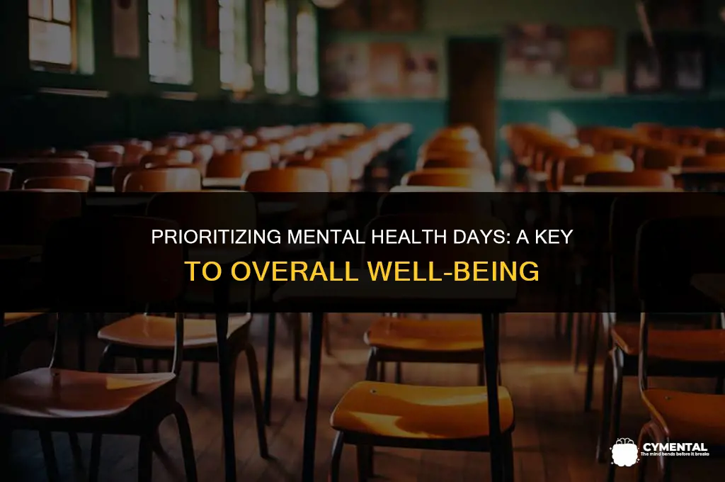 why are mental health days important