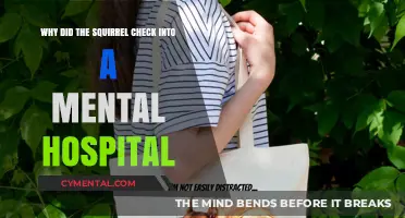 Nuts and Bolts: Unraveling the Squirrel's Mental Health Mystery