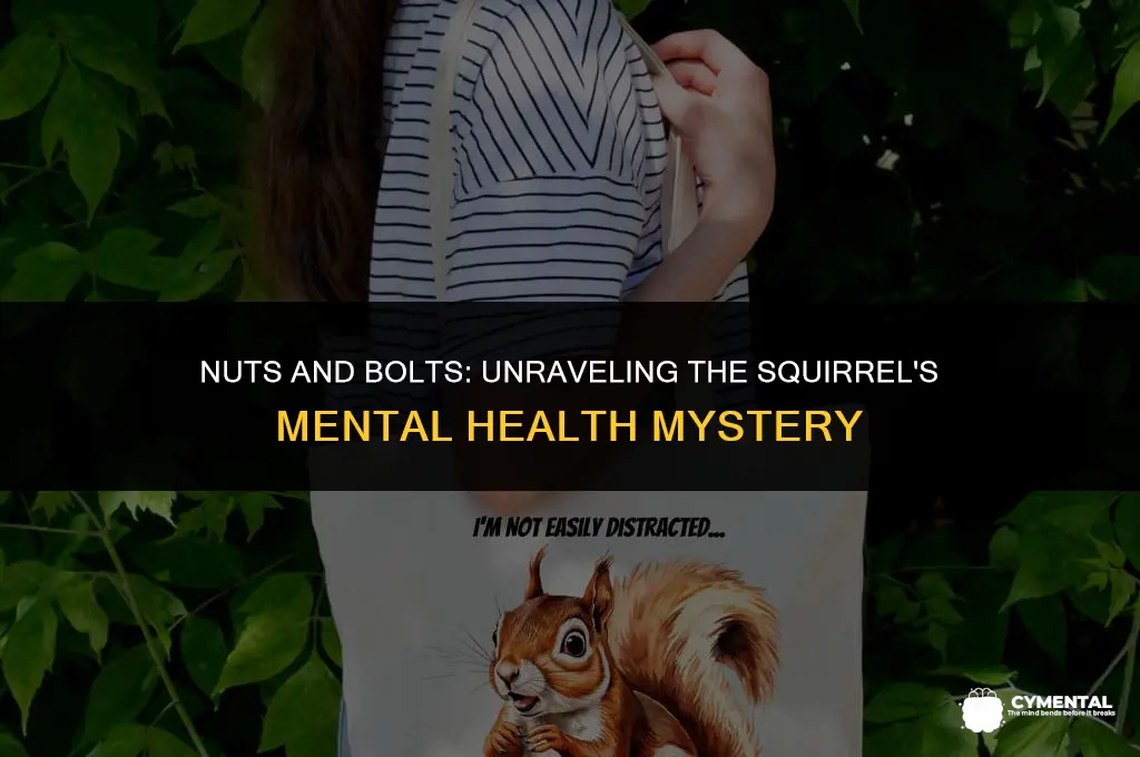 why did the squirrel check into a mental hospital