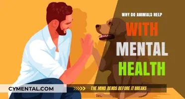 Animal Companions: How Pets Positively Impact Mental Health and Well-Being