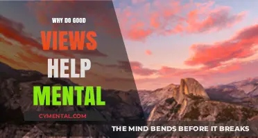 Scenic Serenity: How Good Views Boost Mental Well-Being
