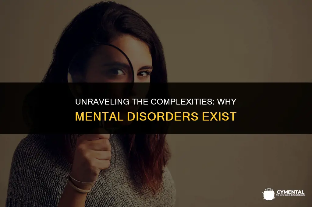 why do mental disorders exist