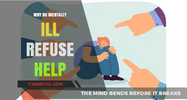 Understanding the Barriers: Why Mentally Ill Individuals Often Refuse Help