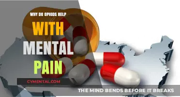 Opioids and Mental Pain: Unraveling the Complex Brain Connection