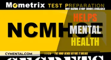 Study Guides: Boosting Mental Health and Academic Success
