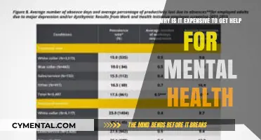 The High Cost of Healing: Mental Health Care's Financial Burden