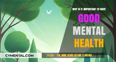 Nurturing Mental Wellness: The Foundation of a Fulfilled Life