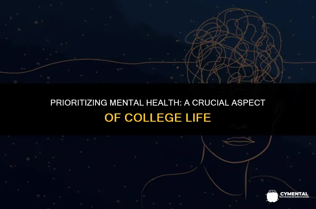 why is mental health important for college students