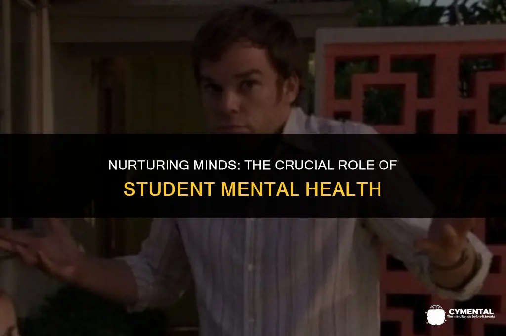 why is student mental health important