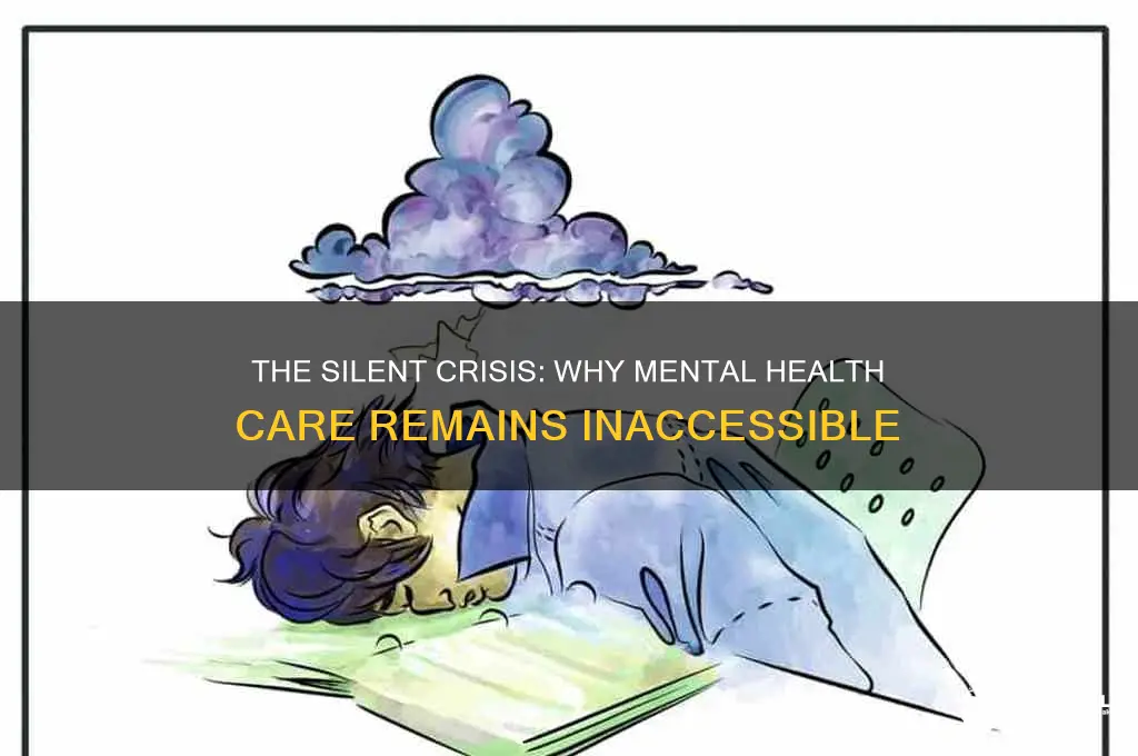why is there no help for the mentally ill