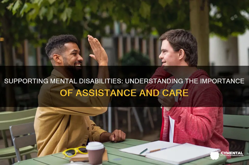 why people with mental disabilities need help