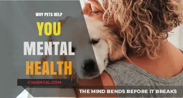 Pets and Mental Health: How Furry Friends Boost Your Well-Being