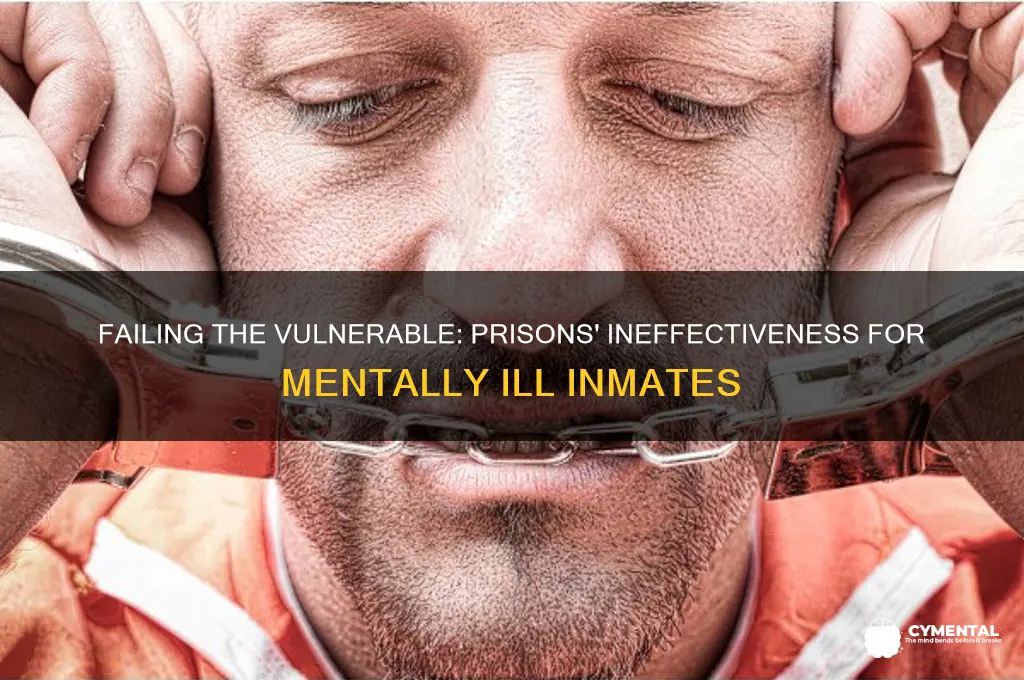 why prisons don