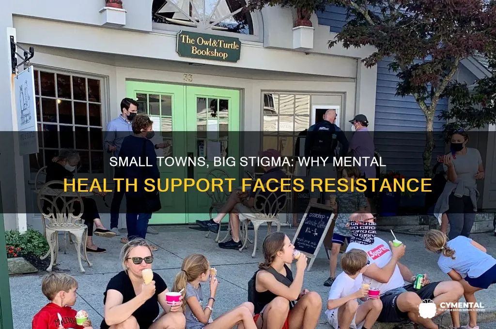 why small towns reject mental health help