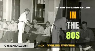 Unraveling the Complex Reasons Behind the Closure of Mental Hospitals in the 1980s
