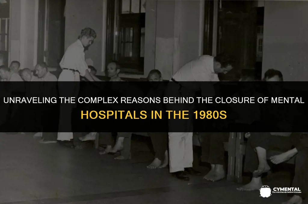 why were mental hospitals closed in the 80s