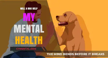 Can a Canine Companion Boost Your Mental Well-Being?