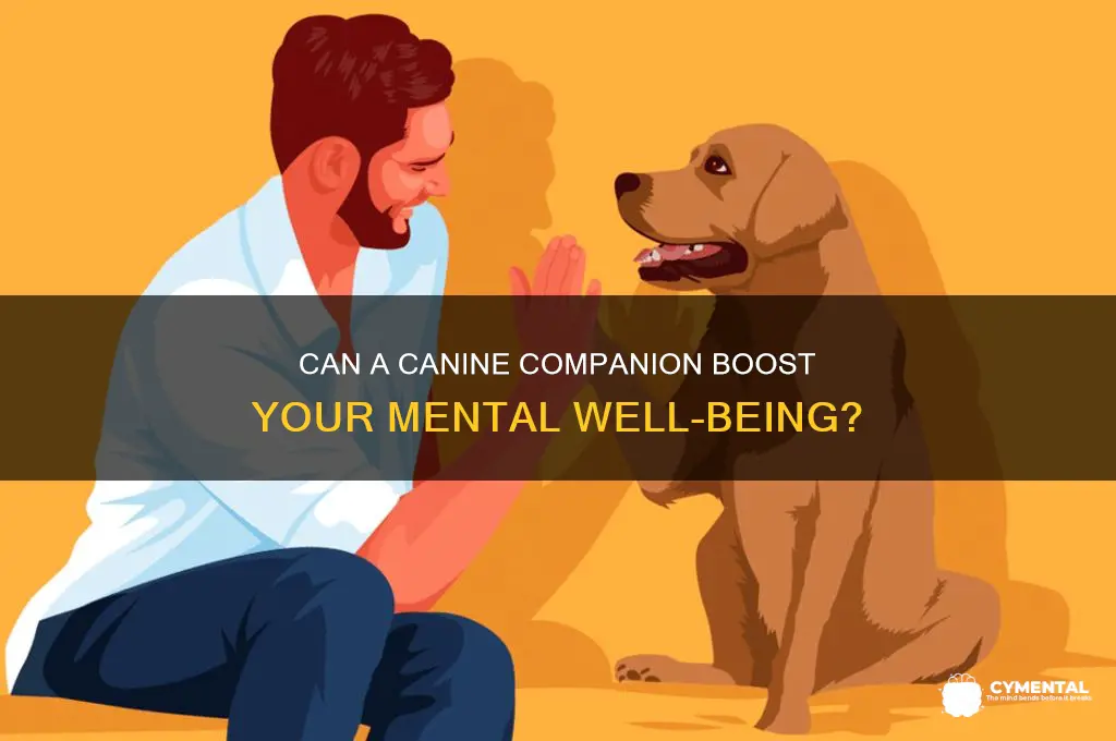 will a dog help my mental health