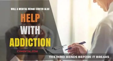 Mental Rehab Centers: Effective Dual Treatment for Addiction and Mental Health?