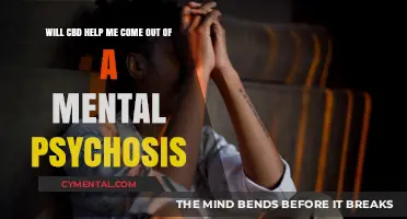 CBD and Psychosis: Can It Aid Recovery from Mental Episodes?