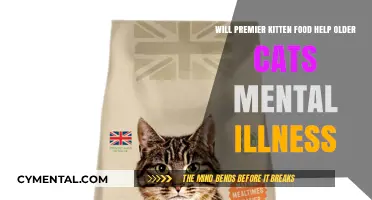 Can Premier Kitten Food Improve Mental Health in Aging Cats?