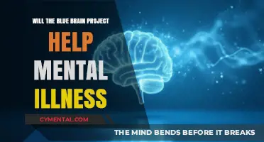 Blue Brain Project: A Revolutionary Approach to Mental Illness Treatment?