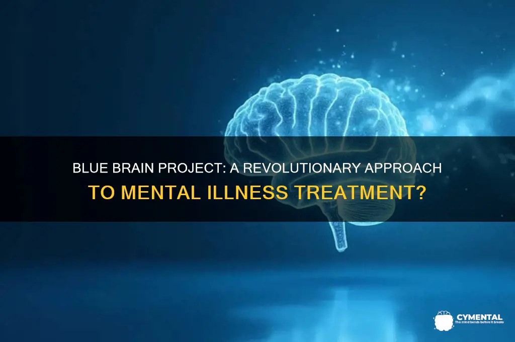 will the blue brain project help mental illness